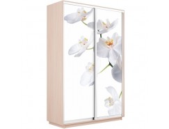 Шкаф-купе 1,600 мм дуб молочный/орхидея белая фотопечать