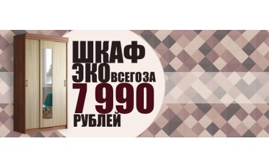 Шкаф-купе Эко за 7990 рублей!